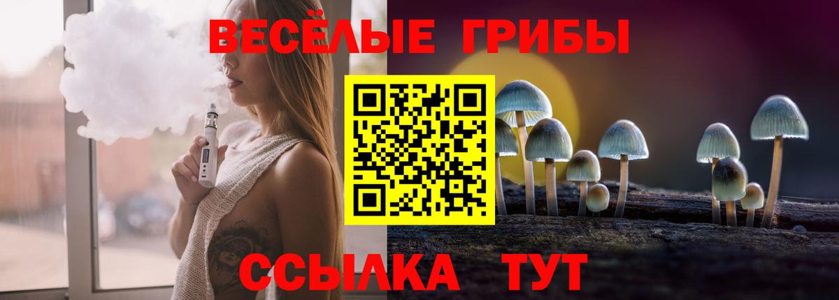 Донской  Галлюциногенные грибы GOLDEN TEACHER  что такое наркотик  Вход с VPN 